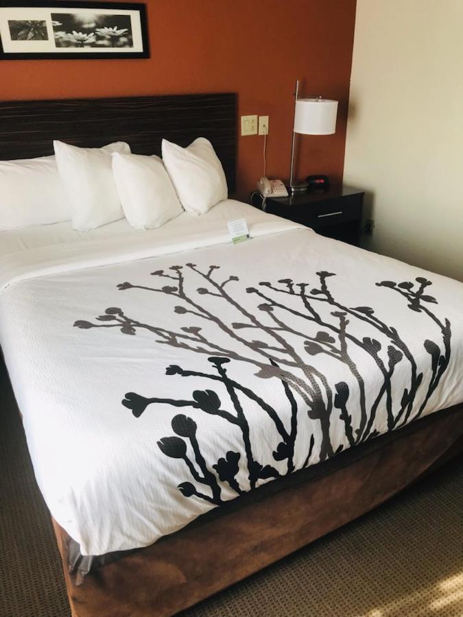 Sleep Ashley Phosphate Inn 2*