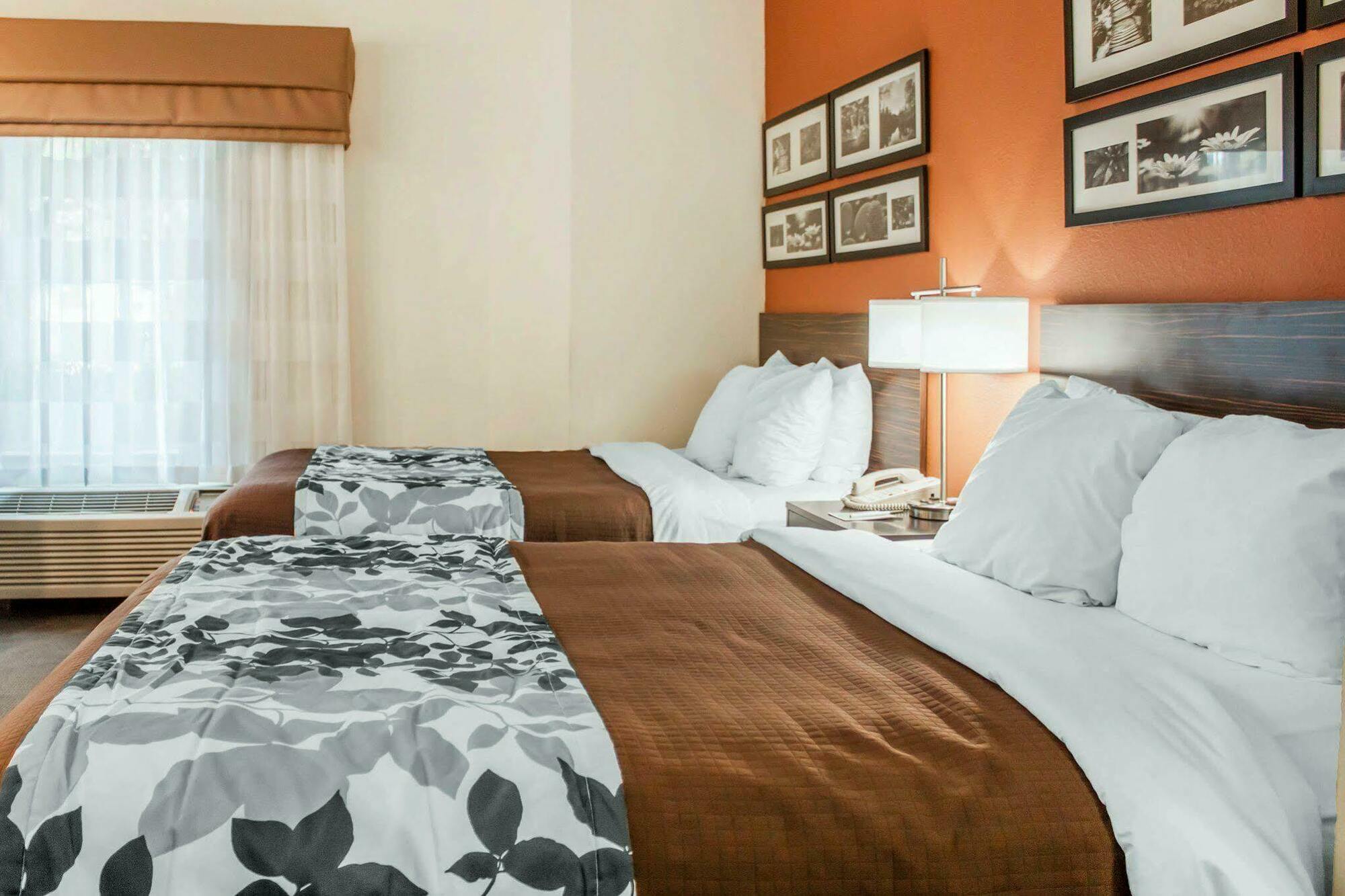 Inn Sleep Ashley Phosphate