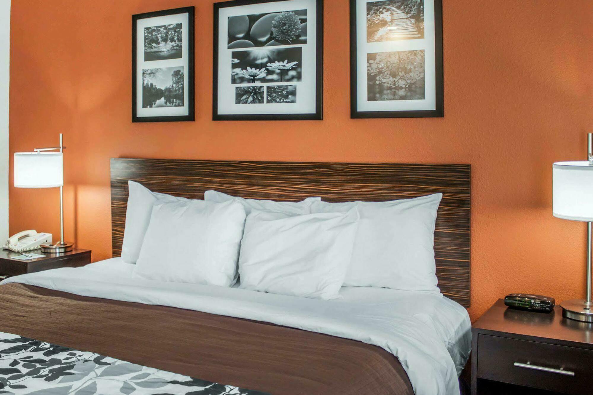 Inn Sleep Ashley Phosphate 2*
